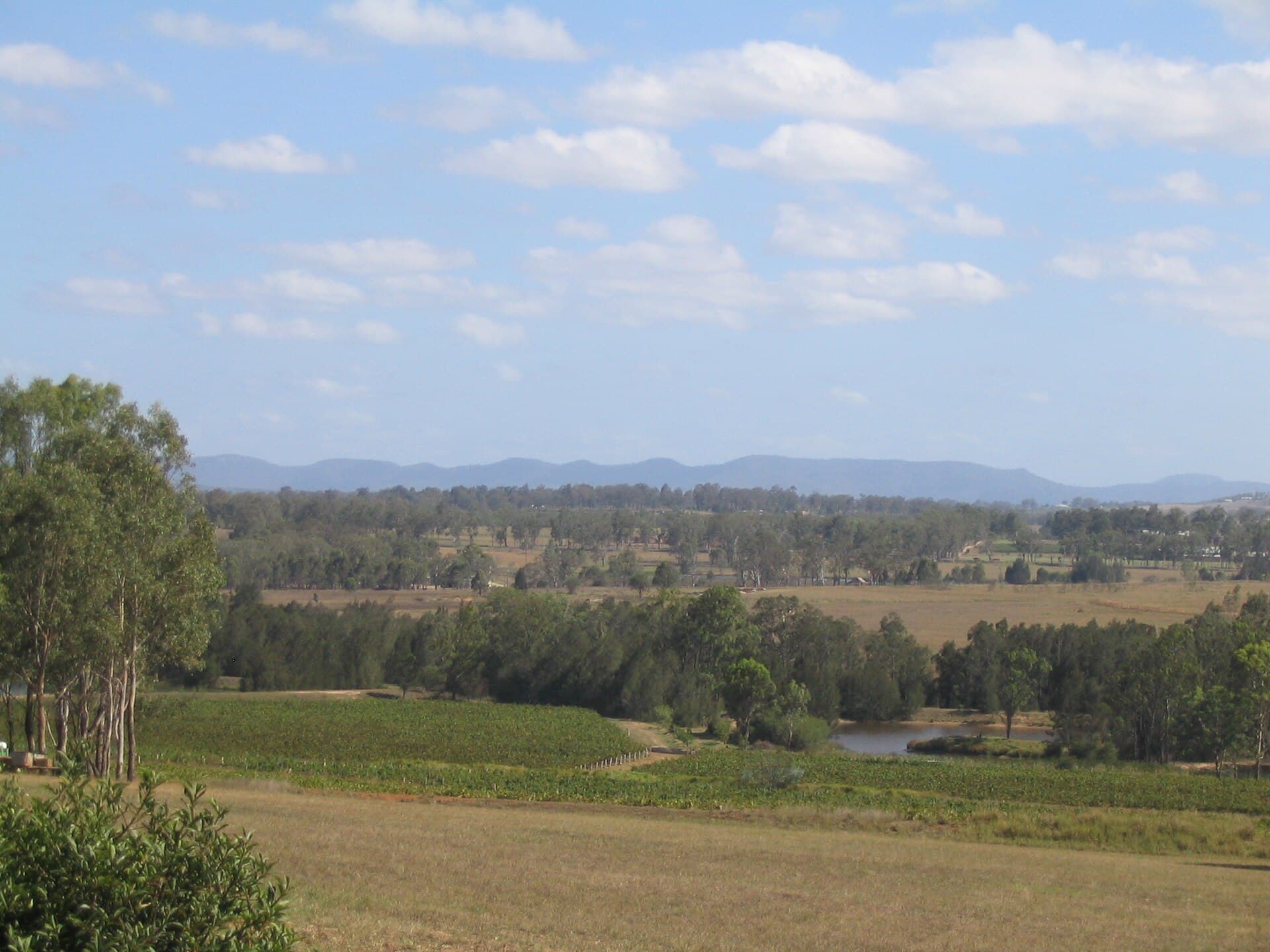 Fields, trees and a distant ridge in the Hunter Valley